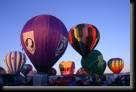 BalloonFest 289
